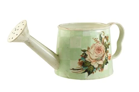 Watering can Foto stock