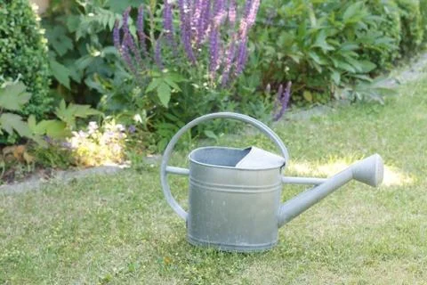 Watering can Stock Photos