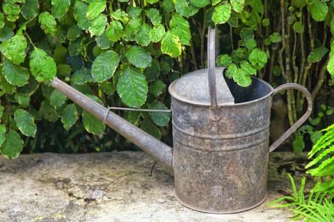 Watering can Stock Photos
