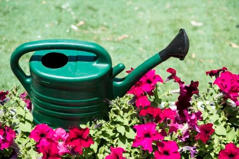 Watering can Stock Photos