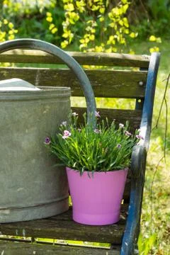 Watering can Stock Photos