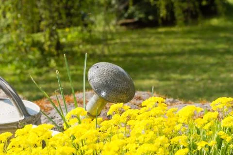 Watering can Stock-Fotos