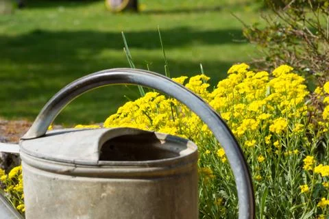 Watering can Stock Photos