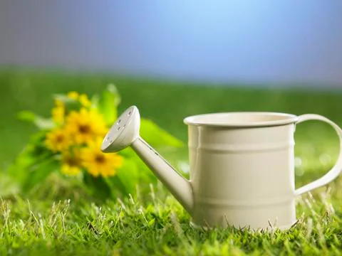 Watering can Stock-Fotos