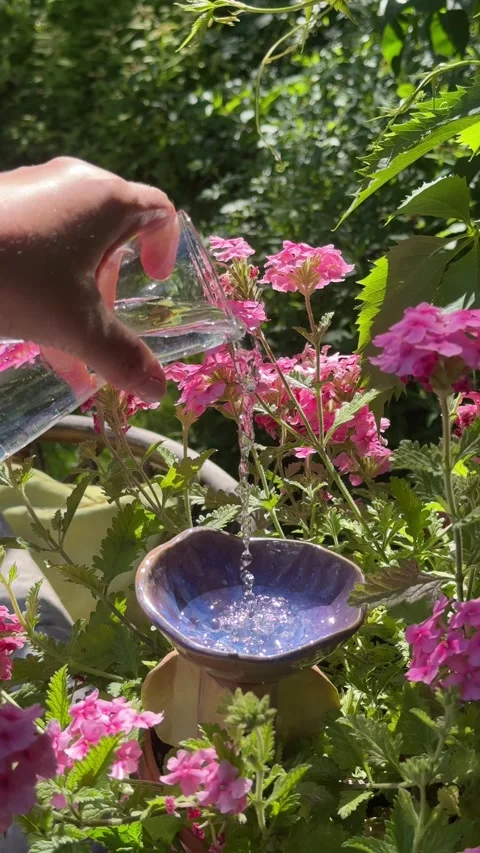 Watering Ceramic Bird Bath in Blooming Summer Garden Vídeos de archivo 337344517