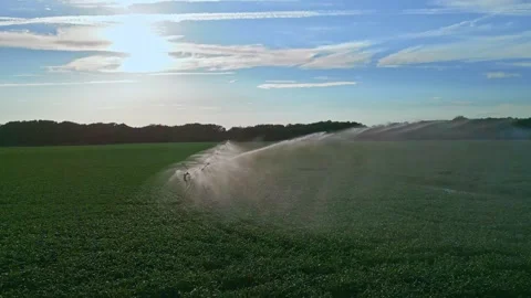 Watering on corn farm. Irrigation system in function watering agricultural 스톡 동영상 314412325