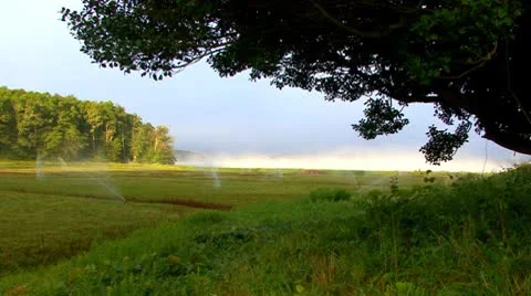 Watering Cranberry Bog; 2 Stock Footage 8917063