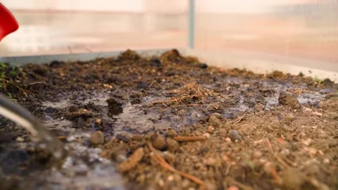 Watering an empty bed with a watering can in a greenhouse, close-up in slow Stock Footage 310168936