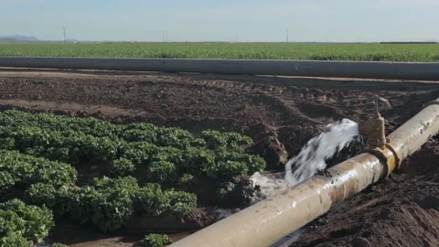 Watering a Field Stock Footage 94643618