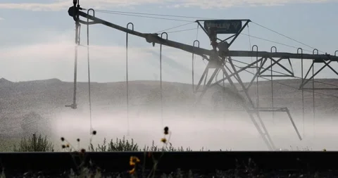 Watering a field with an irrigation system 库存影片 247160594