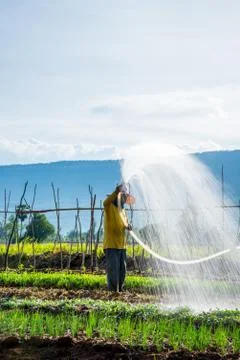 Watering in the field Stock-Fotos