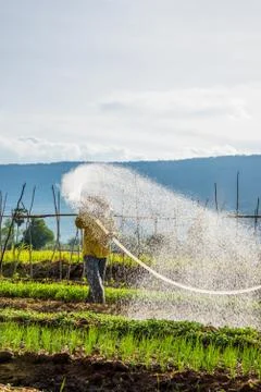 Watering in the field Stock Photos