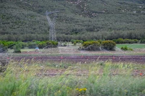 Watering on the field, spraying water Foto stock