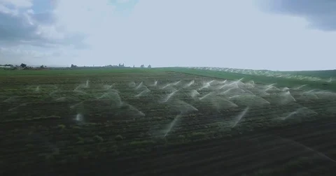 Watering fields Arial backwards Video stock 82469474