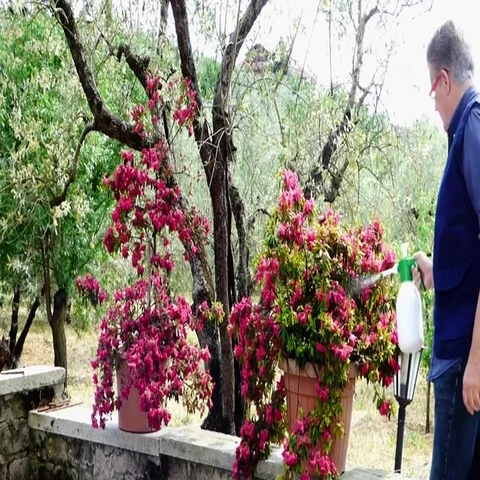 Watering the flower Stock Footage 69737310