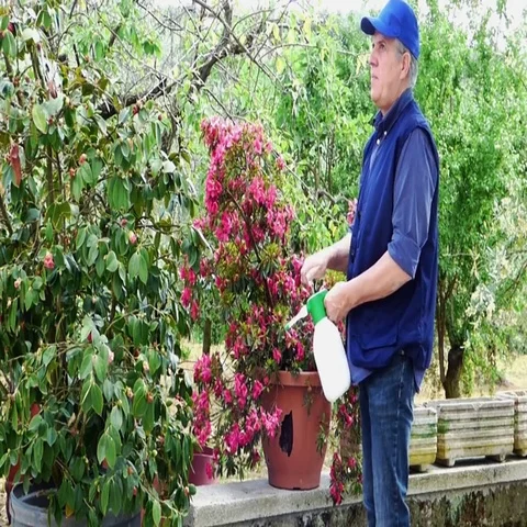 Watering the flower Stock Footage 69737325