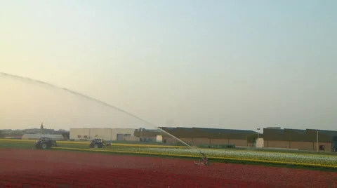 Watering flowers Stock Footage 4982708