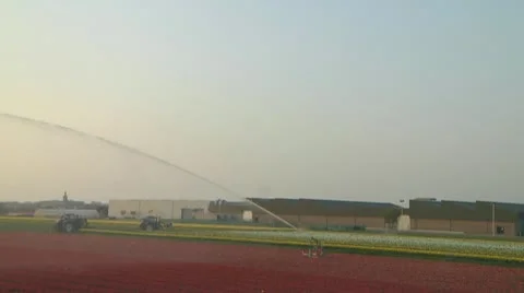 Watering flowers Stock Footage 10741279