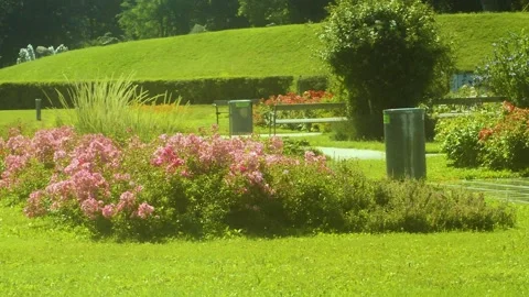 Watering flowers 動画素材 135598148