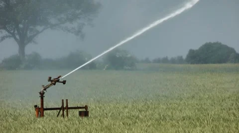 Watering Stock Footage 7730947