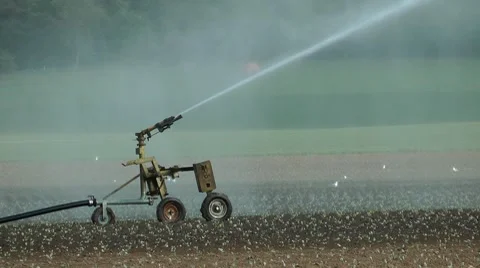 Watering Stock Footage 8835156