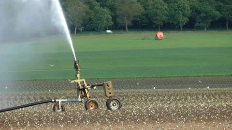 Watering Stock-Footage 8835298