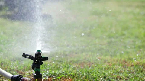 Watering Stock Footage 32249708