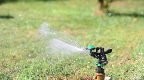Watering Stock Footage 35204732