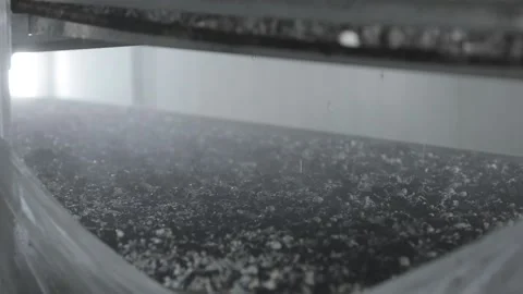 Watering Video stock 107317354