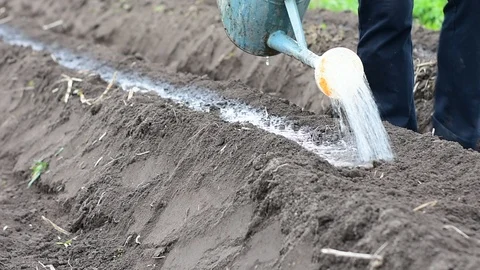 Watering Stock Footage 108138290