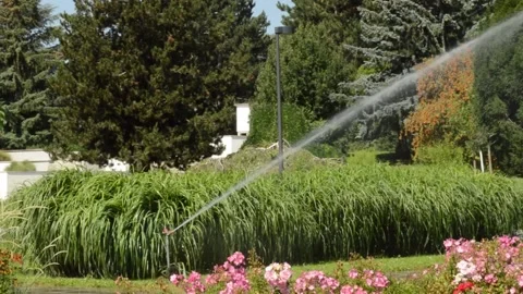 Watering Video stock 135598164