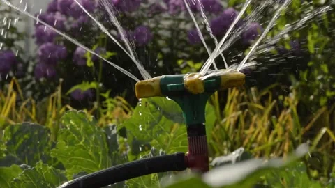 Watering Stock-Footage 154427211