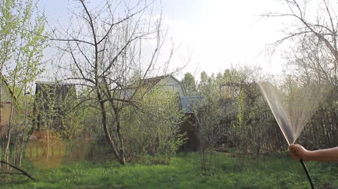 Watering the garden against the setting sun Stock Footage 24242578