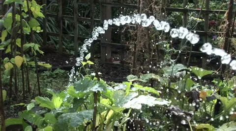 Watering the garden Stock Footage 924848