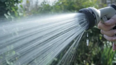 Watering garden Vídeo Stock 10824586