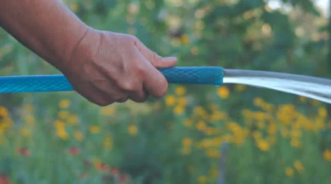 Watering garden 스톡 동영상 25817179