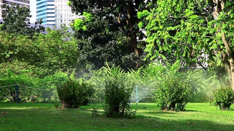 Watering of the Garden Stockbeeldmateriaal 37661175