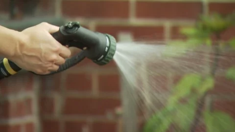 Watering Garden Stock Footage 123935433