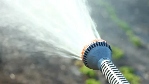 Watering the garden with  Stock Footage 127701310