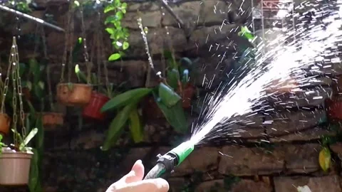 Watering the garden Stock Footage 141919968