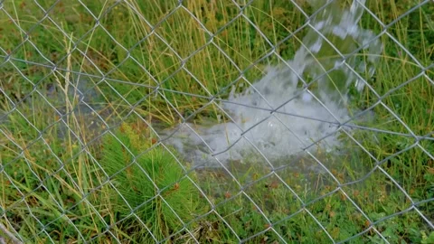 Watering garden Stock Footage 158460729