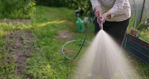 Watering garden Stock Footage 243424604