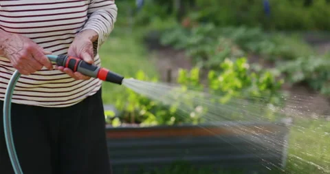 Watering a garden Stock Footage 243425400