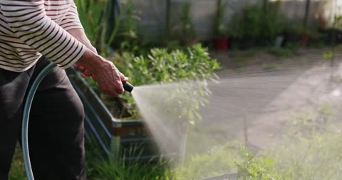 Watering a garden Stock Footage 243425404