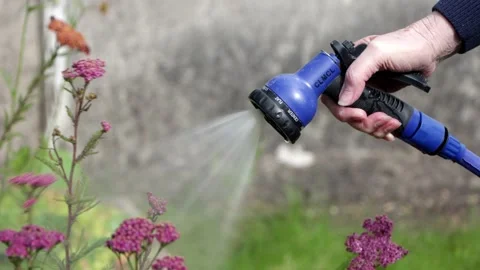 Watering the Garden Stock Footage 247407426