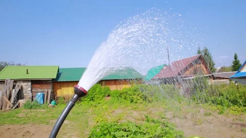 Watering the garden from a hose with a diffuser. Stock Footage 155831665