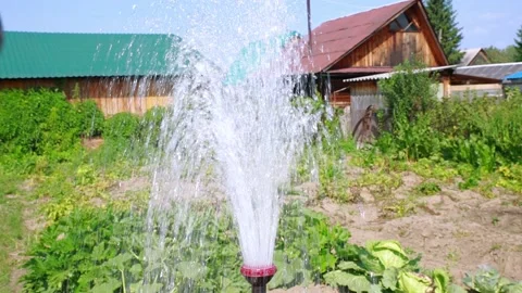 Watering the garden from a hose with a diffuser. Stock Footage 155831765