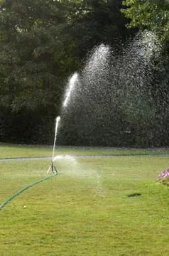 Watering in a garden Stock Photos