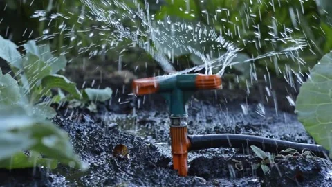 Watering the garden in summer Vidéo 154427639