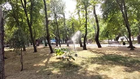Watering the garden using a sprinkler system. Stock Footage 113847890